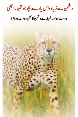 Seeing everyone and everything 💯💯#foryouu #treanding #foryoupagе #fyp #viralvideos 