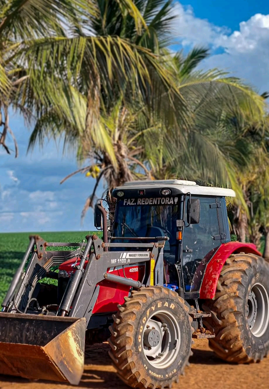 com o manto do timão  #tratoresqualificados #loucosportrator #eosguri #tratorparastatus #osgurisãoruimbrasil 