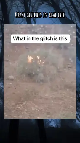 #scaryvideos #horror #watchtillend #real #glitch 