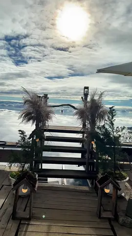 Đỉnh gió tà xùa #xuhướng #reviewtaxua #thienduongmaytaxua #dulichvietnam #taybac 