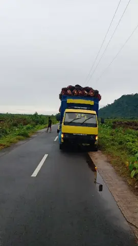 fyp truck sawit. #drivermudaindonesia 