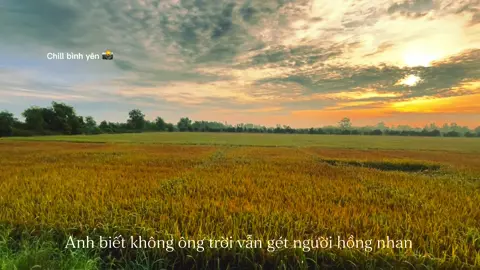Tuổi mộng xứ đông #chill #binhyen #tamtrang #xuhuong #mientay 