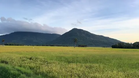 Đã quá tri tôn ơii!!#fyp #xuhuongtiktok #triton #abcxyz #trending 