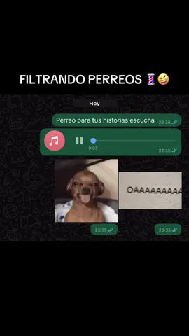 YA ME CORTE EL PELO ME PUSE FACHERO #perreo #ripcachengue #viralllllll #audiosparatiktok 