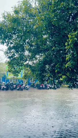 #viralvideo#xybca#berandatiktok 