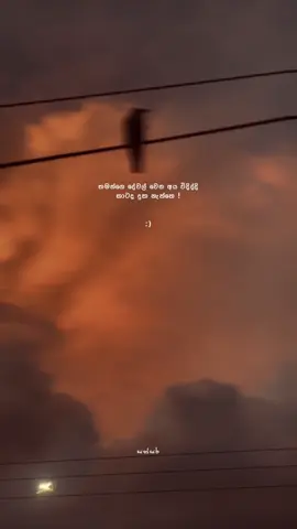 🤍 ! #sathsaraqutoes #fypシ #viralvideo #foryoupage #whatsappstatus 