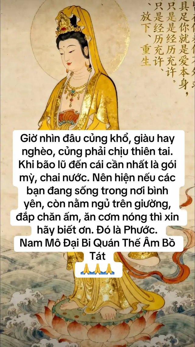 Nam Mô Đại Bi Quán Thế Âm Bồ Tát #dieuantutap #chudaibi #quantheambotat #phatphapnhiemmau 