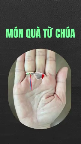 #dcgr #xemchitay #nhantuong #phongthuy #xemboi 