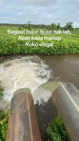 Batukan😅 #katabanjar #storybanjar #katakatamotivasi #hulusungaiselatan 