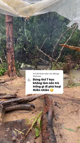 Trả lời @Wings Vietnam mây bác vào thông não cái thể loại nay cho e với chứ chán trả buồn nói nữa 😂😂@Sinh tồn hoang dã @Thợ rừng 78 @tronghiep944 @Đời❤️47 