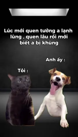 #vuinhon #haihuoc #meo #mememeo #dethuong