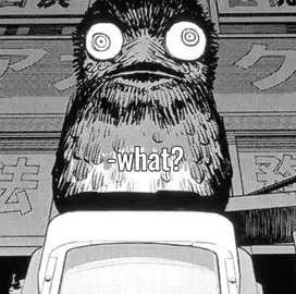 she too fine #yoru #asa #chainsawman #bp #animedit 