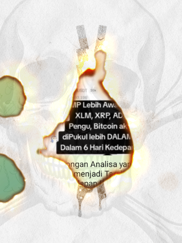 DANGER !!  DISCLAIMER ON DYOR  MESSAGE !!!  #bitcoin #cryptocurrency #fyp #pinetwork 