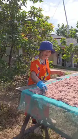 #toboalibangkaselatan #promosiprodukpecahbelah  TERASI KHAS BANGKA  TERASI CIK MAYA DIJAMIN DAPAT  MENCIPTAKAN RASA DAN GURIH MAKANAN YANG ENAK  📍Toko Pecah Belah Arini, Jl. Damai toboali (Toko Cat warna Orange & Coklat ) Samping Toko Serba 35.000 ⏰Jam Operasional (07.00-17.30) 📞 wa/tlp : 0811-7178-884 (Aktif Saat Jam Operasional) Ig : Pecahbelaharini_ FB : pecah belah arini Tiktok : pecahbelaharini_ 🛵🚚 Siap Antar Jarak Wajar