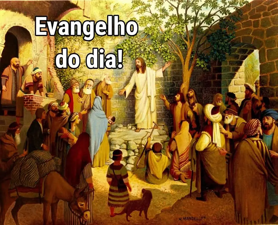 🙏✝️📖Apresentação da Bem-aventurada Virgem Maria | Memória | Sexta-feira - 21/11/2025📖✝️🙏 🙏✝️📖Evangelho (Mt 12,46-50)📖✝️🙏 Naquele tempo, 46 enquanto Jesus estava falando às multidões, sua mãe e seus irmãos ficaram do lado de fora, procurando falar com ele.  47 Alguém disse a Jesus: 
