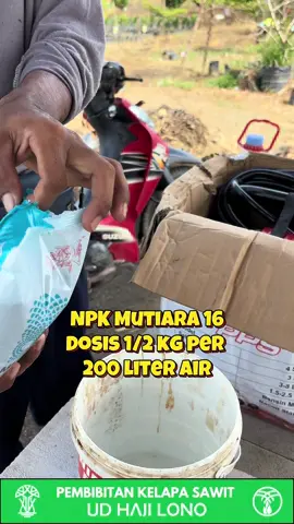 Racikan pupuk kocor untuk setut hijau daun #ppksmedan #ppks540 #npkmutiara 