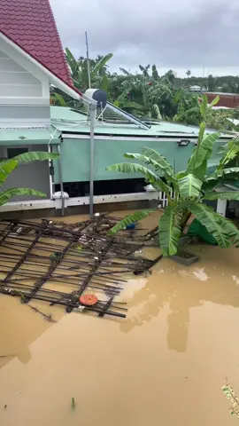 Nghe tiếng cứu người mà bất lực . Cúp điện nc cúp sóng ko biết khi nào mới ổn,diên khánh Nha trang ổn ko ?? #xuhuong 