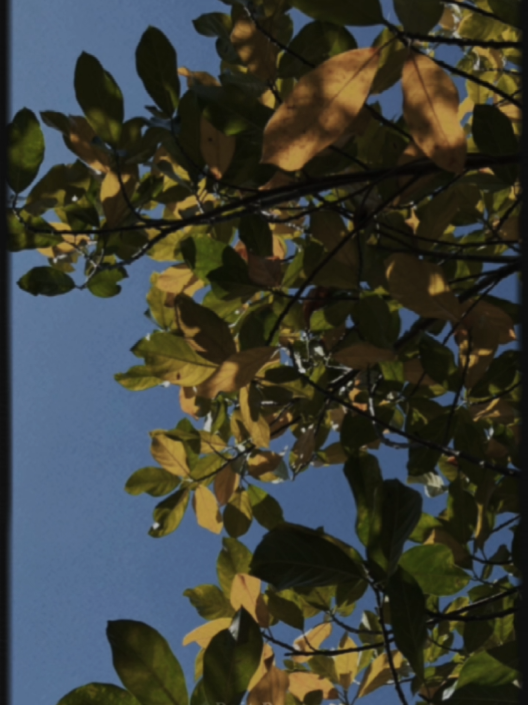 Judika - Bagaimana Kalau Aku Tidak Baik-Baik Saja  #CapCut #liriklagu #judika #foryoupage 