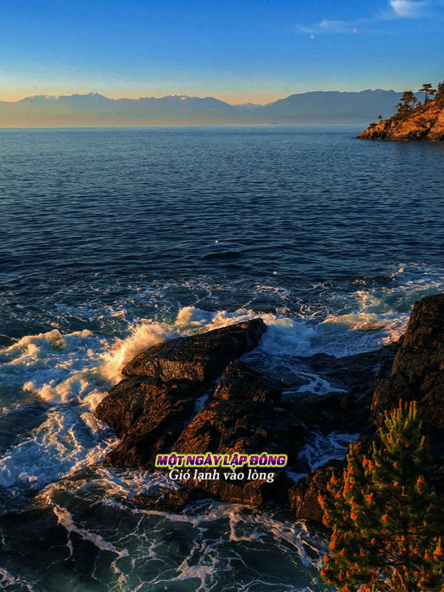 Nửa Đêm Nguyện Cầu: #capcut #capcutpioneer #pioneertemplate #trend #tramblues 