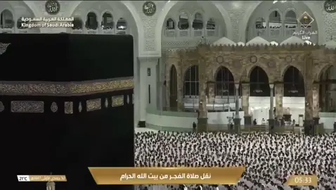 آداء خيالي لعندليب الحرم!🖤 ‏فضيلة الشيخ ⁧‫#بندر_بليلة‬⁩ من صلاة الفجر اليوم الجمعة 30 جمادى الأولى 1447هـ
