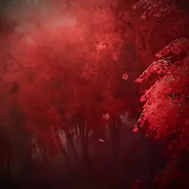 Huo Ling'er sudah memprediksi bahwa mereka akan dipisahkan dan tidak akan bertemu lagi tapi Shi Hao bersikeras bahwa mereka akan tetap bertemu lagi,dia membuat sumpah jika Huo Ling'er mati dia akan menghancurkan reinkarnasi demi menemukannya,dan yahhhh dia membuktikannya dengan waktu yang lama, Shi Hao pergi ke dunia kegelapan demi membawa jiwa perempuan yang dia cintai.  Harga yang harus Shi Hao bayar untuk bersama dengan Huo Ling'er sangatlah mahal.  #donghua #perfectworld #huolinger #shihao🎀huolinger #fyp 