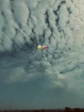 আমার এই বুকের মাঝের ভালোবাসাটা যদি তোমারে আমি দেখাতে পারতাম...!😅❤️‍🩹 #fypシ゚ #bdtiktokofficial 