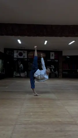 #fyp #kicks #martialarts #fyp #taekwondo 