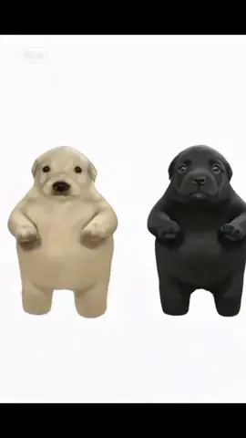 No encuentro el comentario que me pidio esta canción JAJAJ🎶 #musica#perritos#baile#fypp#paratiiii