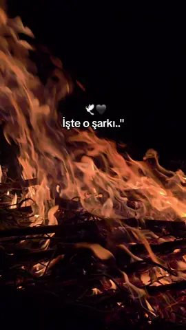 Allah kimseyi Hasret çektirmesin🥹🫂 #keşvet #geceyebirsözbırak💫 #uygurdoganay #ateşbaşındahuzur #fyp🌹🎶🌹🎶 