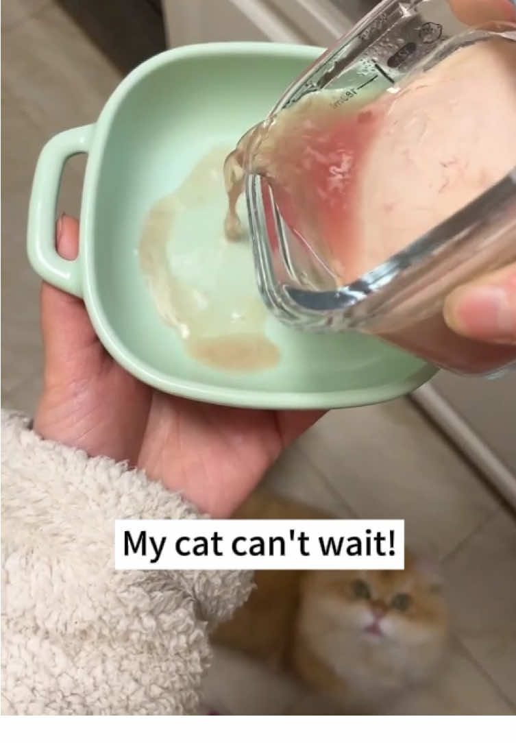 Making wet food that cats love only requires a few simple steps! #catfood #wetfood #cathealth #cateating #catmom 