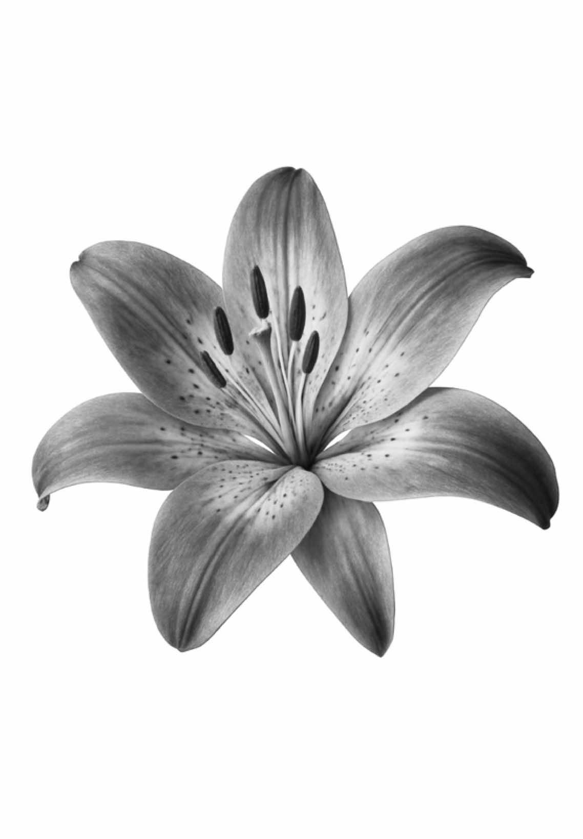 he’ll never be like you… #flume #lyricsvideo #foryou #fyp #tipografia 