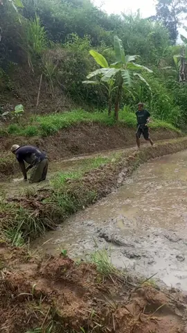 Salah jalan akibat di udah Begu🤣🤣#hiburann