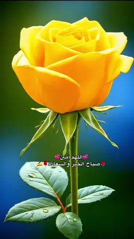 #اللهم إني أسألك العفو والعافية في الدنيا والآخرة#♥️♥️♥️🕊️ #كسسسسسسبلوور♡✿🌹✔ 