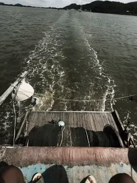 爱情里,信任很重要。如果你们真心相爱,等待都是值得的。如果你们不爱,一切努力都是徒劳的。 Niềm tin rất quan trọng trong tình yêu. Nếu thực sự yêu nhau, sự chờ đợi là xứng đáng. Nếu không yêu nhau, mọi nỗ lực đều vô ích.