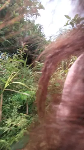 Day 1 jadi pengantin baru  #duniamilikberdua #masihhangat 