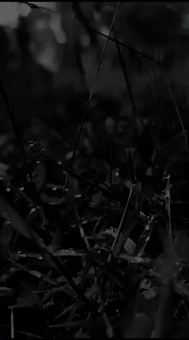 #CapCut #fyppppppppppppppppppppppp #kata2 #