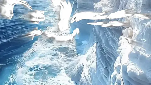 #جمعة_مباركة ، #جمعة_اسد_البصرة