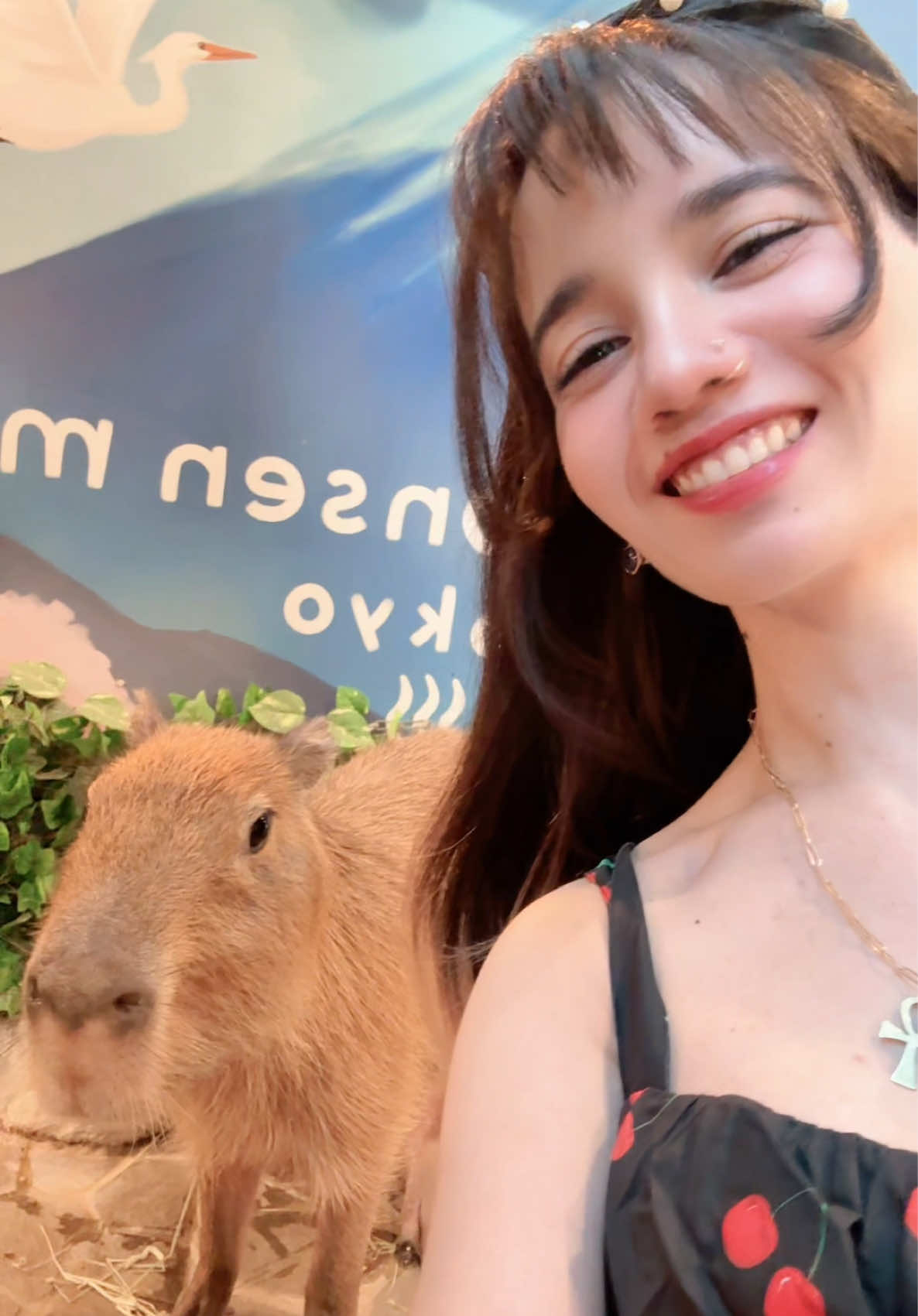 A ser siempre serenos como un capybara 🍀🧘🏻‍♀️ Agrega toda mi música a tu playlist🎵 Encuéntrame cómo KatLiSpi en todas las plataformas 🩷🎶🎧 #capybara #japan #harajuku #capybaratiktok #windygirk @windygirk 