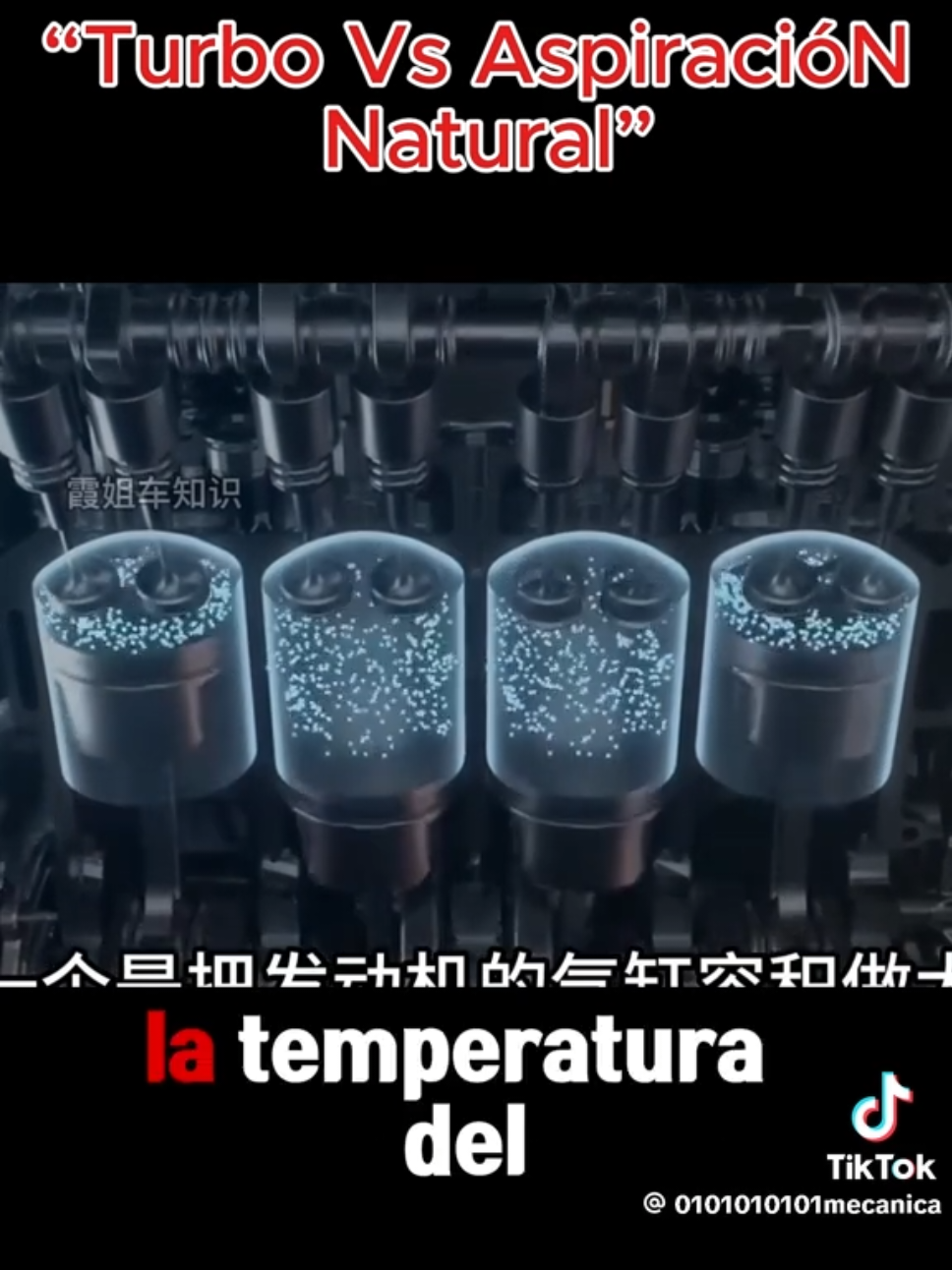 1402 s Main ST santa Ana CA 714-586-2882