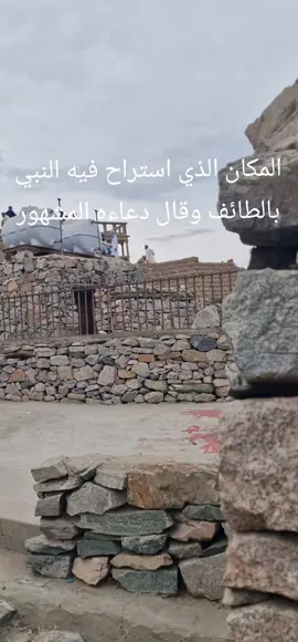 المكان الذي استراح فيه النبي بالطائف وقال دعاءه المشهور #الطائف #رسول_الله_صلى_الله_عليه_وسلم #مكة #السعودية🇸🇦 #مصر🇪🇬 