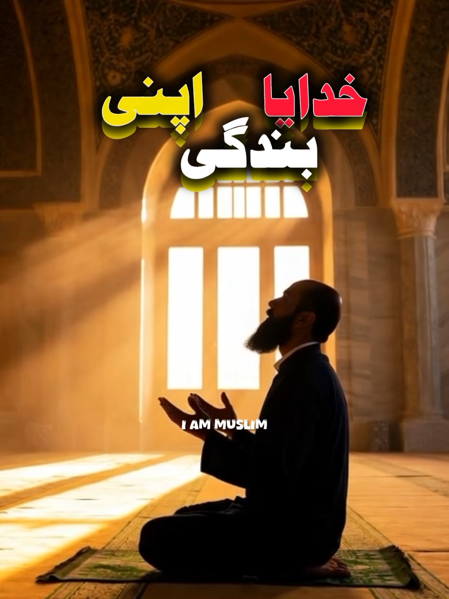 Khudaya Bandagi Apni 🤲 @MUSLIM CORNER 💫 #1millionaudition  #fyp #viral  #100k  #ٹرینڈنگ۔ویڈیو۔viral۔tiktok 