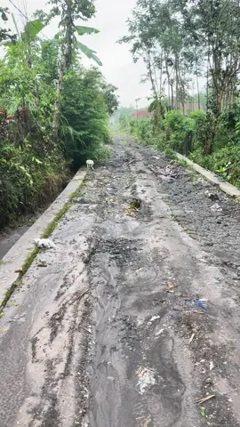 Rumah yang masih selamat dari erupsi Gunung Semeru 