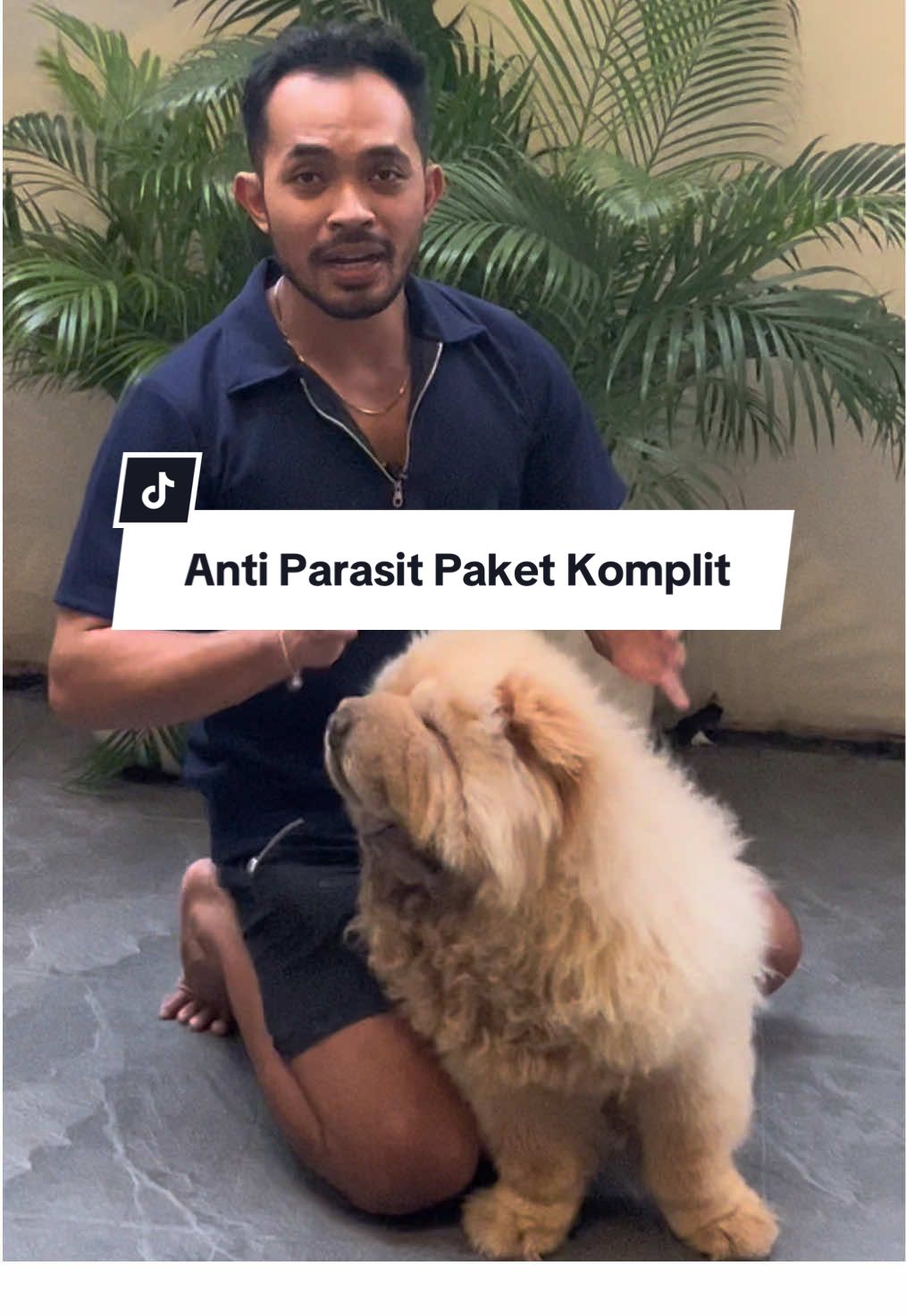 Sekali semprot bisa bikin badan anabul wangi, bebas kutu, jamur dan scabies #anjing #anjinglucu #fyp 