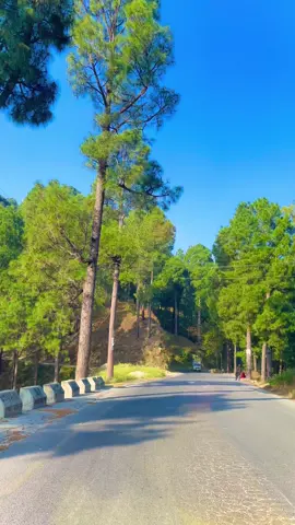 بڑی مشکل ہے😂❤️ #fyp #foryoupage #garhi #balakot #hazara 