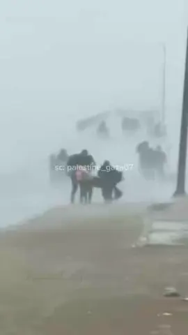 ya Allah berilah pertolongan untuk saudara-saudara kami yang berada di Palestina @Palestine 🇵🇸  #freepalestine #🇲🇨❤️🇵🇸 #savepalestine #bismillahfyp #gaza 