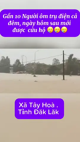 Người Miền Trung bao giờ cho hết khổ 🥲🥲🥲#lulut #mientrung