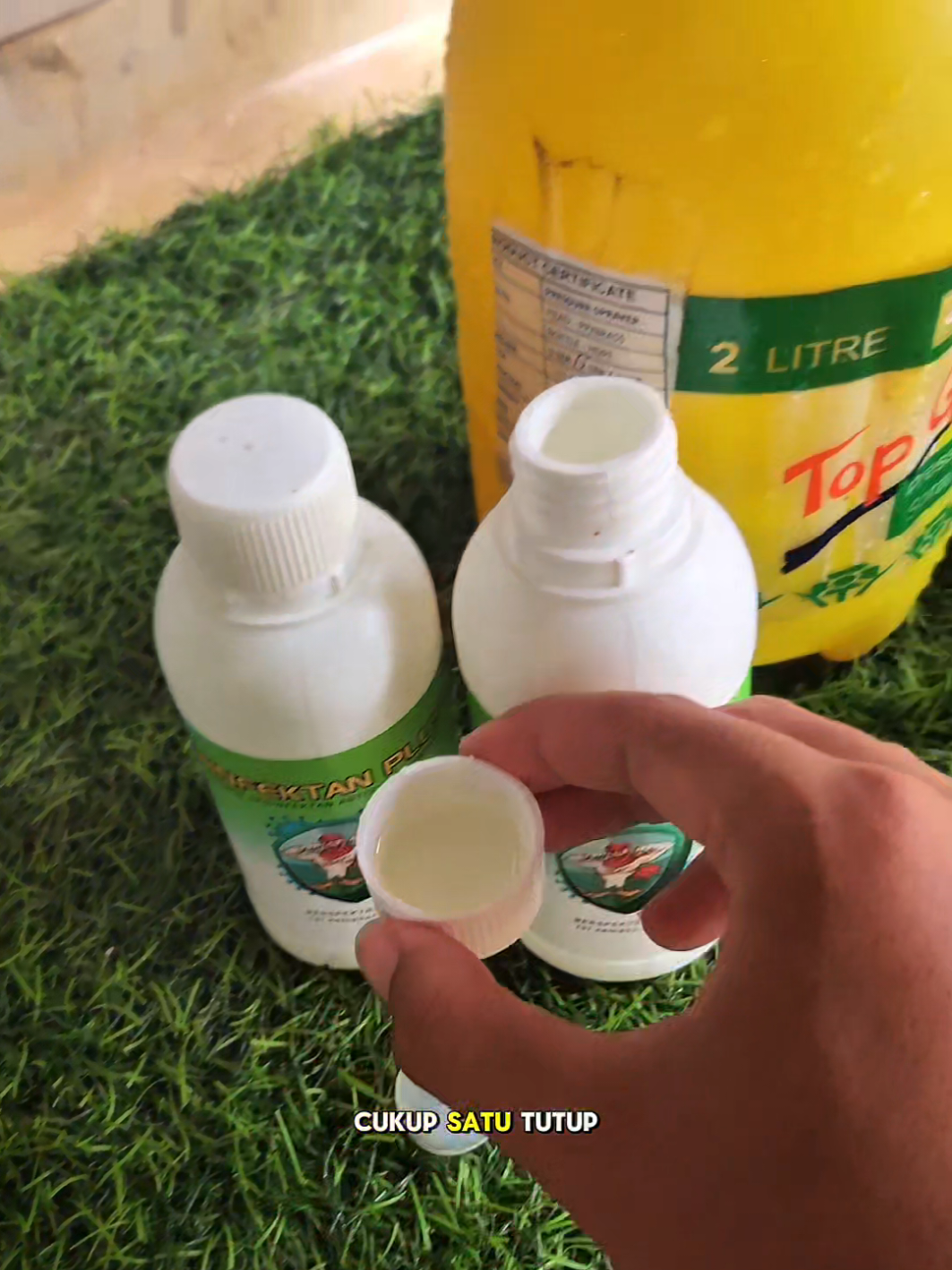 Membalas @riskikacong19Aman aja kak #ayam #disinfectant #kandangayam #fypシ゚viral🖤tiktok #ternakayam 