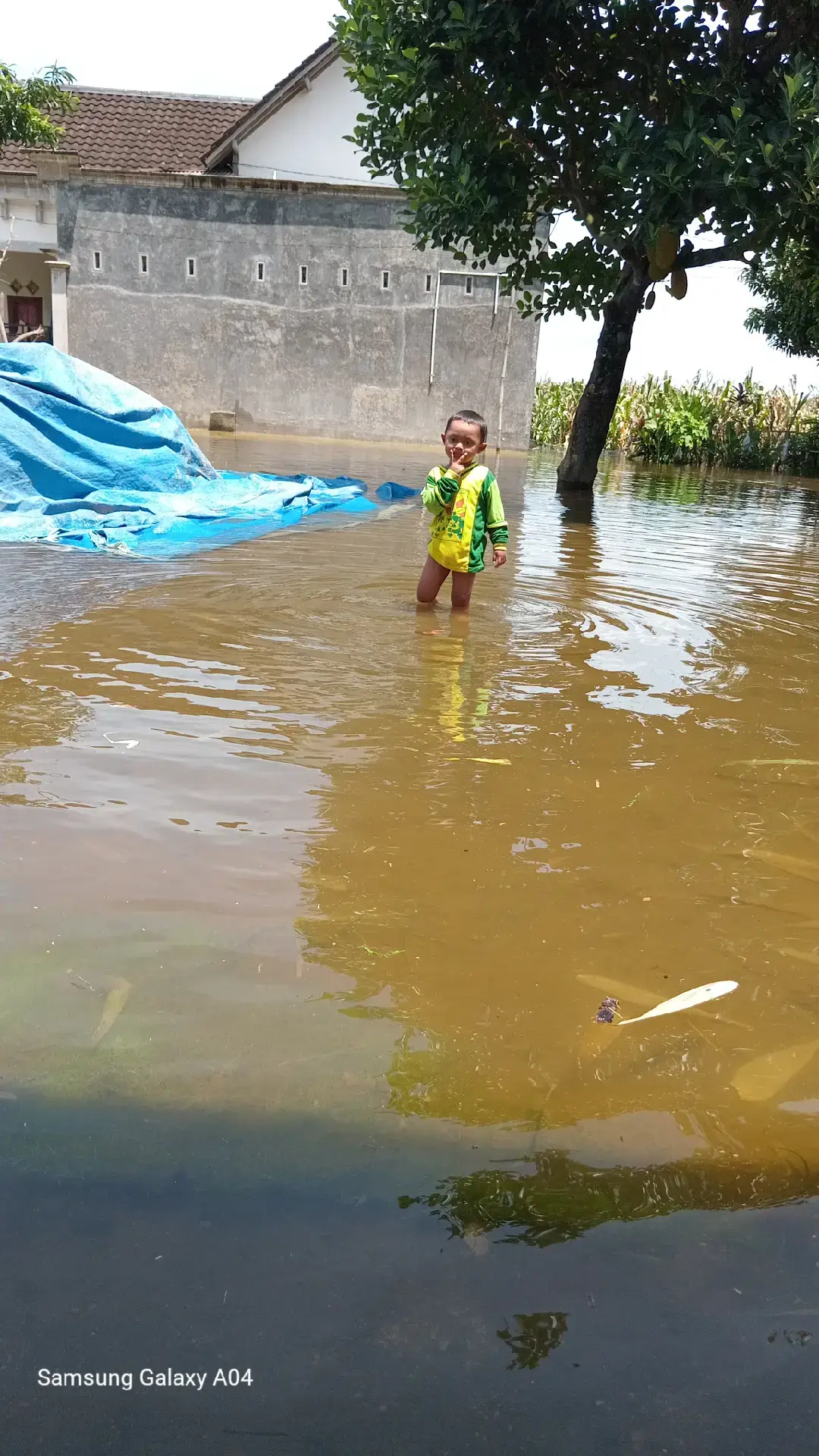 banjir seduri wonodadi blitar #pyf #fyppppppppppppppppppppppp #musimhujan #banjir 