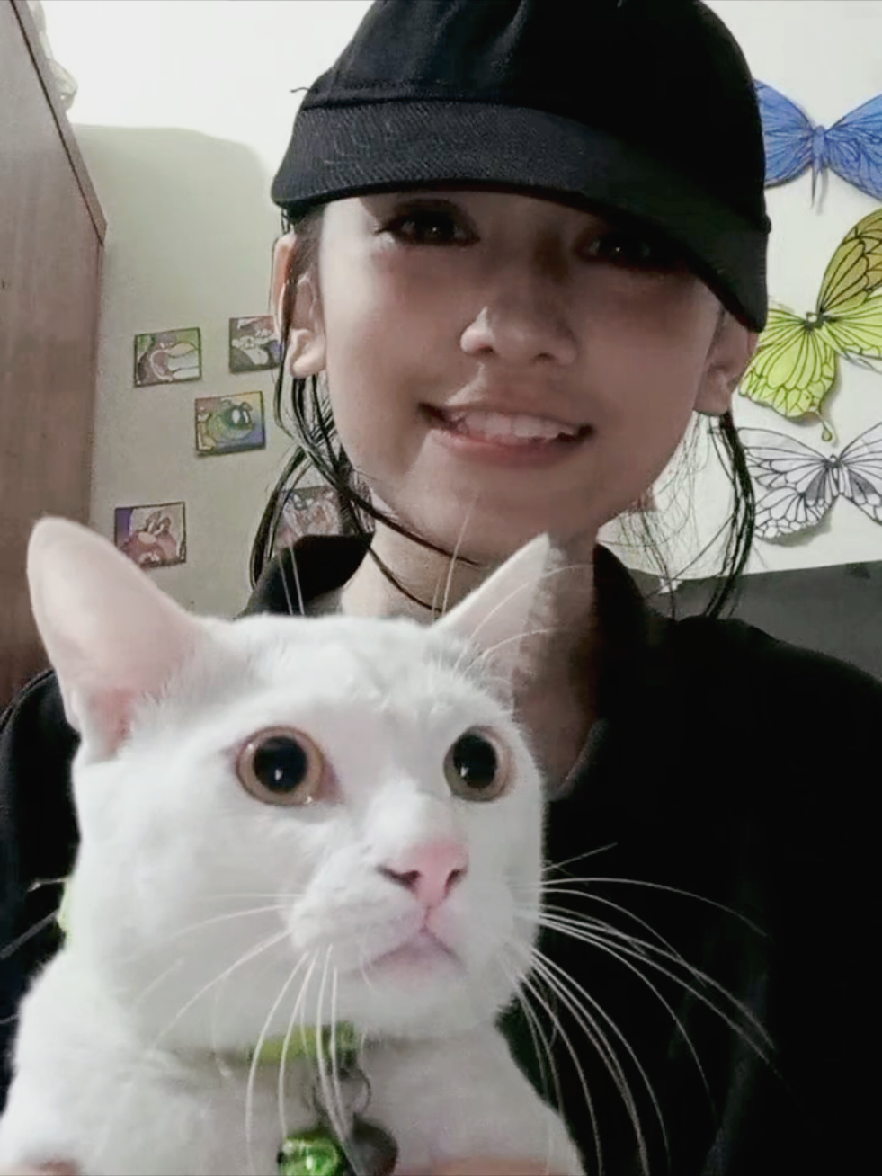 look at my cat🤣😂#creatorsearchinsights#fyppppppppppppppppppppppp  #unfrezzmyaccount #viral #seo 