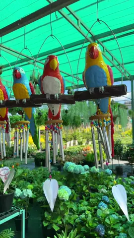 #ပန်းကမ္ဘာပန်းပင်ဆိုင်တာချီလိတ်မြို့ #fyp #fyppppppppppppppppppppppp #titokmyanmar 